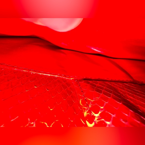 🛑Host Pick Miss Dior Python Flap Bag Link Chain - Picture 11 of 14